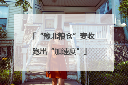 “豫北粮仓”麦收跑出“加速度”