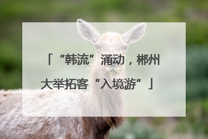 “韩流”涌动，郴州大举拓客“入境游”