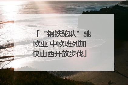“钢铁驼队”驰欧亚 中欧班列加快山西开放步伐