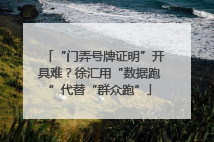 “门弄号牌证明”开具难？徐汇用“数据跑”代替“群众跑”