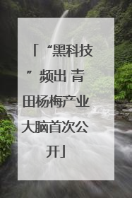 “黑科技”频出 青田杨梅产业大脑首次公开