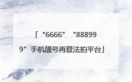 “6666”“888999”手机靓号再登法拍平台