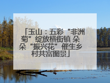 玉山：五彩“非洲菊”绽放横街镇 朵朵“振兴花”催生乡村共富图景