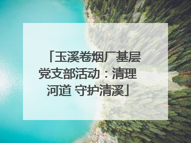 玉溪卷烟厂基层党支部活动：清理河道 守护清溪