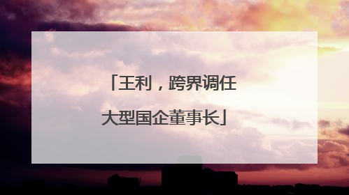 王利，跨界调任大型国企董事长