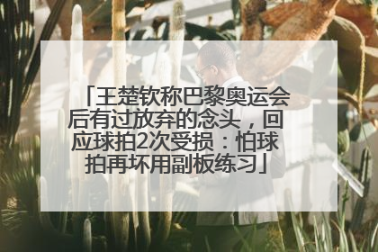 王楚钦称巴黎奥运会后有过放弃的念头，回应球拍2次受损：怕球拍再坏用副板练习