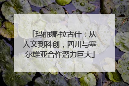 玛丽娜·拉古什：从人文到科创，四川与塞尔维亚合作潜力巨大