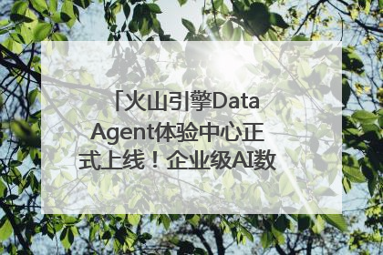 火山引擎Data Agent体验中心正式上线！企业级AI数据专家触手可及