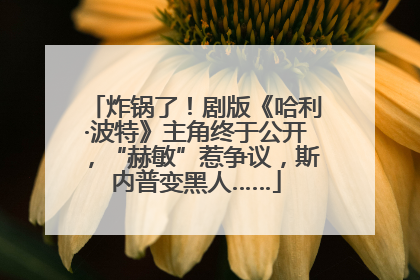 炸锅了！剧版《哈利·波特》主角终于公开，“赫敏”惹争议，斯内普变黑人……
