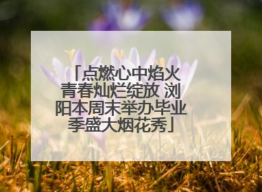点燃心中焰火 青春灿烂绽放 浏阳本周末举办毕业季盛大烟花秀