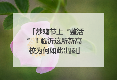 炒鸡节上“整活”！临沂这所新高校为何如此出圈