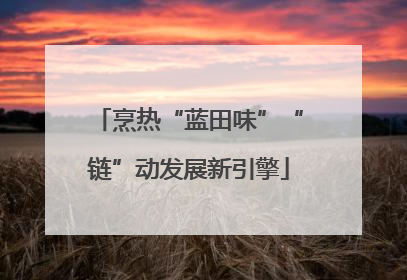 烹热“蓝田味”“链”动发展新引擎