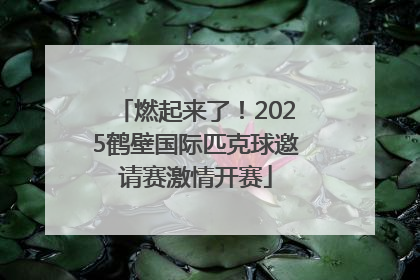 燃起来了！2025鹤壁国际匹克球邀请赛激情开赛