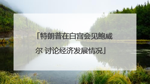 特朗普在白宫会见鲍威尔 讨论经济发展情况
