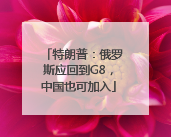 特朗普：俄罗斯应回到G8，中国也可加入