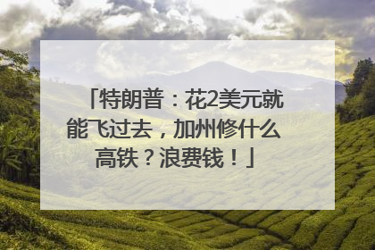 特朗普：花2美元就能飞过去，加州修什么高铁？浪费钱！