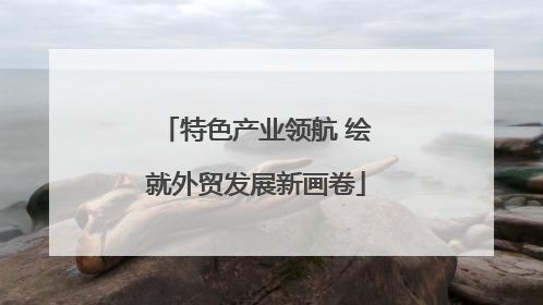 特色产业领航 绘就外贸发展新画卷