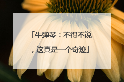 牛弹琴：不得不说，这真是一个奇迹