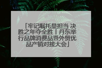 牢记嘱托显担当 决胜之年夺全胜丨丹东举行品牌消费品暨外贸优品产销对接大会