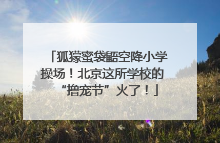 狐獴蜜袋鼯空降小学操场！北京这所学校的“撸宠节”火了！