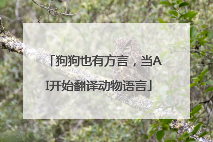 狗狗也有方言，当AI开始翻译动物语言
