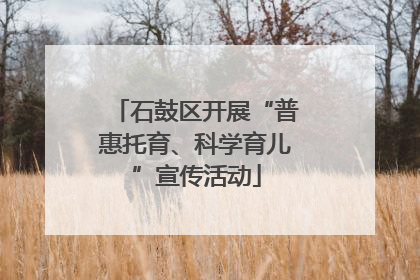 石鼓区开展“普惠托育、科学育儿”宣传活动