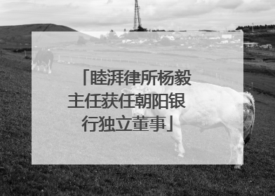 睦湃律所杨毅主任获任朝阳银行独立董事