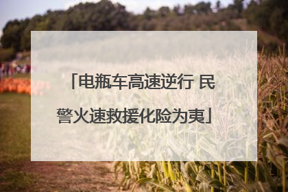 电瓶车高速逆行 民警火速救援化险为夷
