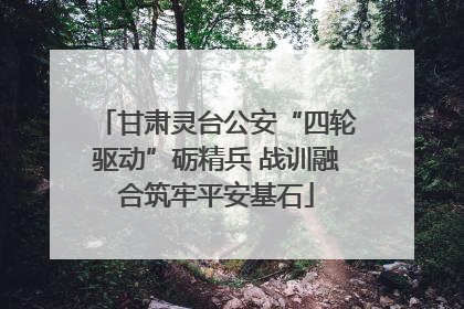 甘肃灵台公安“四轮驱动”砺精兵 战训融合筑牢平安基石