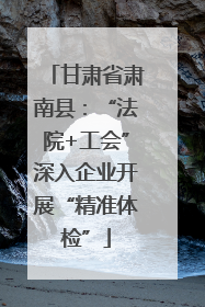 甘肃省肃南县：“法院+工会”深入企业开展“精准体检”