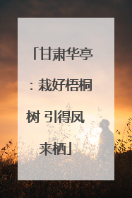 甘肃华亭：栽好梧桐树 引得凤来栖
