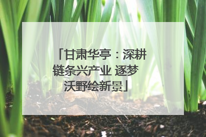 甘肃华亭：深耕链条兴产业 逐梦沃野绘新景