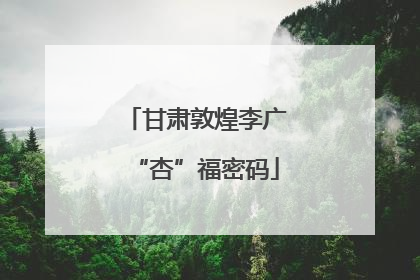 甘肃敦煌李广“杏”福密码