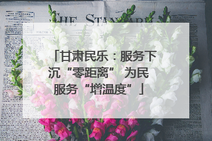 甘肃民乐：服务下沉“零距离” 为民服务“增温度”