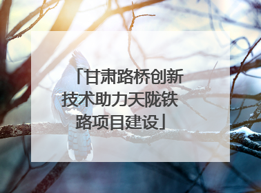 甘肃路桥创新技术助力天陇铁路项目建设