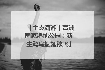 生态潇湘｜萱洲国家湿地公园：新生鹭鸟振翅欲飞