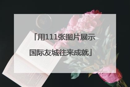 用111张图片展示国际友城往来成就