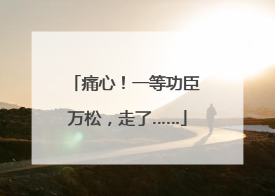 痛心！一等功臣万松，走了……
