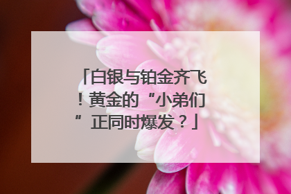 白银与铂金齐飞！黄金的“小弟们”正同时爆发？