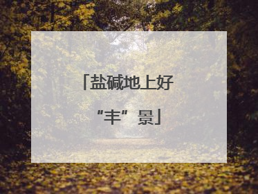 盐碱地上好“丰”景