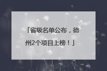 省级名单公布，德州2个项目上榜！