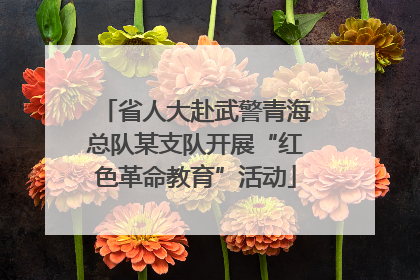 省人大赴武警青海总队某支队开展“红色革命教育”活动