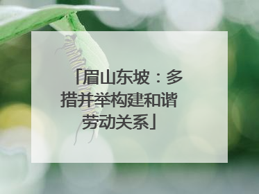 眉山东坡：多措并举构建和谐劳动关系