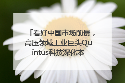 看好中国市场前景，高压领域工业巨头Quintus科技深化本土策略，构建全方位服务亚太区总部