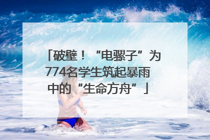 破壁！“电骡子”为774名学生筑起暴雨中的“生命方舟”