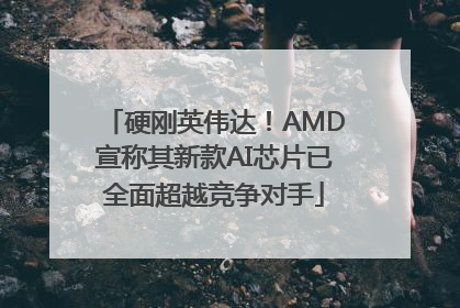 硬刚英伟达！AMD宣称其新款AI芯片已全面超越竞争对手
