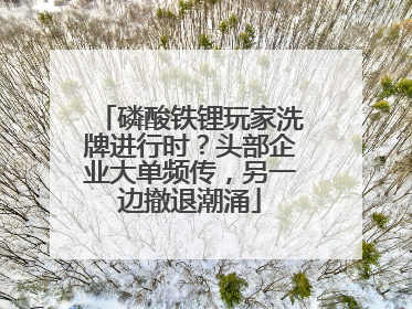 磷酸铁锂玩家洗牌进行时？头部企业大单频传，另一边撤退潮涌