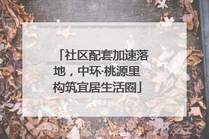 社区配套加速落地，中环·桃源里构筑宜居生活圈