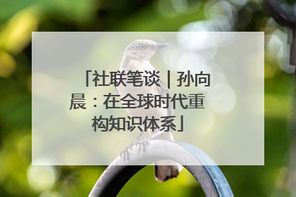 社联笔谈｜孙向晨：在全球时代重构知识体系