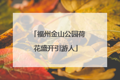 福州金山公园荷花盛开引游人